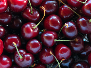 ripe red sweet cherry