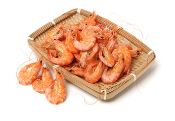shrimps on a white background