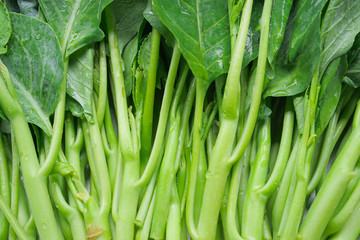 Chinese kale fresh vegetable Green leaf