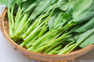 Chinese kale fresh vegetable Green leaf