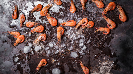 Shrimps Shrimp with crushed ice on dark grunge background. Top view