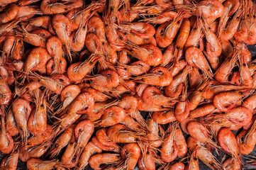 Shrimps on dark grunge background. Top view