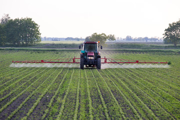 Tractor spraying plants in spring