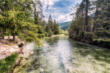 Fototapeta premium torrente alpino scorre nel bosco
