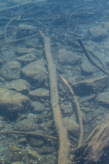 pezzi di legno nel lago