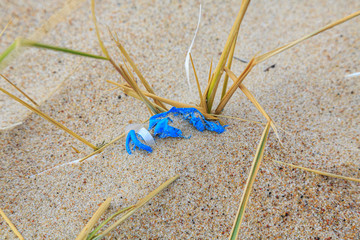 Plastic waste - brought back by the sea 3