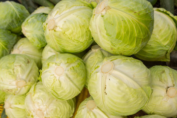 Close-up of cabbage at a public market