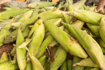 Close-up of corncob at a public market