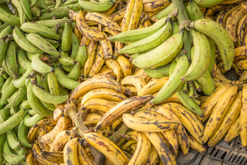 Close-up of platains or cooking bananas at a public market