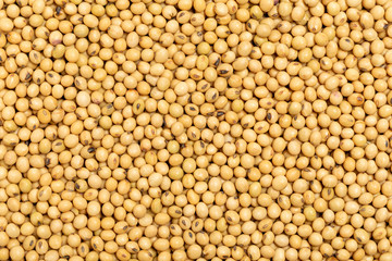 Macro shot of soybeans fills the frame for background.