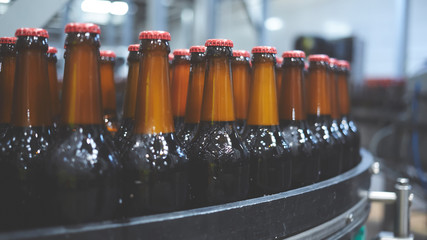 Beer bottles on the conveyor belt. Shallow dof. Selective focus.