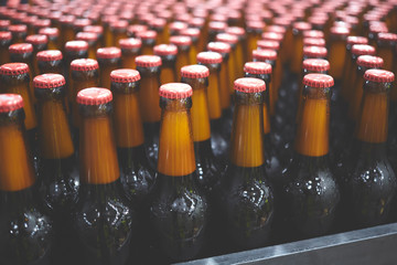 Beer bottles on the conveyor belt. Shallow dof. Selective focus.