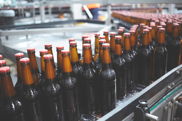 Beer bottles on the conveyor belt. Shallow dof. Selective focus.