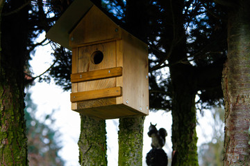 Starenkasten Vogelhäuschen Bird Box Garden