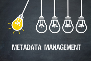 Metadata Management