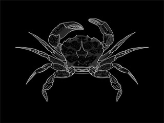 White Crab illustration on black background