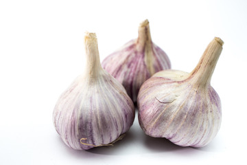 Obraz premium garlic isolated on white background