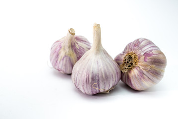 garlic isolated on white background