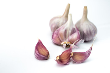 garlic isolated on white background