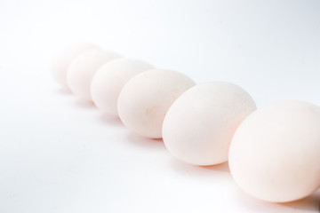 eggs on white background