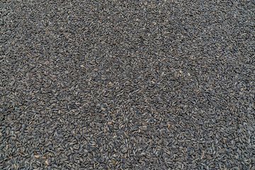 Heap, group or pile of sun flower seed background cover entire picture. 