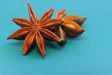 Star Anise (lat. Illicium verum). Spice badyan.