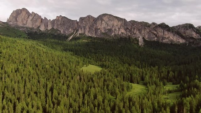 Forest and mountain range in the Dolomites Italy