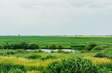 field, landscape, sky, grass, nature, green, meadow, blue, summer, rural, agriculture, countryside, spring, horizon, cloud, clouds, tree, hill, country, land, forest, farm, view, pasture, scene, fores
