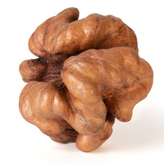 Nut kernel on white background