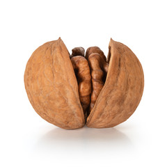 Nut split in half on a white background