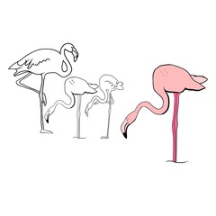 Obraz premium Pink flamingo silhouette, flock of flamingos, drawing, vector illustration