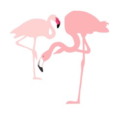 Fototapeta premium Pink flamingo silhouette, flock of flamingos, drawing, vector illustration