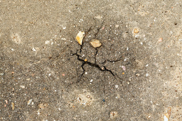 Big crack in sidewalk, top view, close-up shot