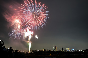 川口花火大会の花火(2019年)