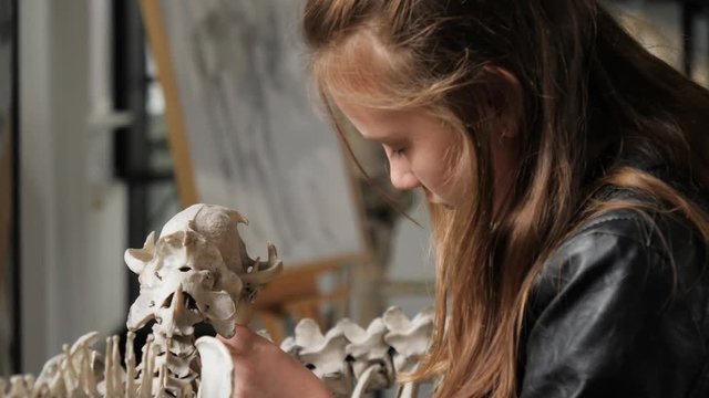 Teenager cute girl makes draw sketches in graphic tablet of animal skeletons in museum of nature as part of school task of biology