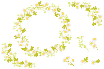 マトリカリアの飾り枠