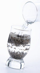 chia seeds