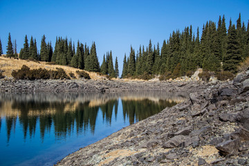 mountain lake with the pines and rocks on the bank