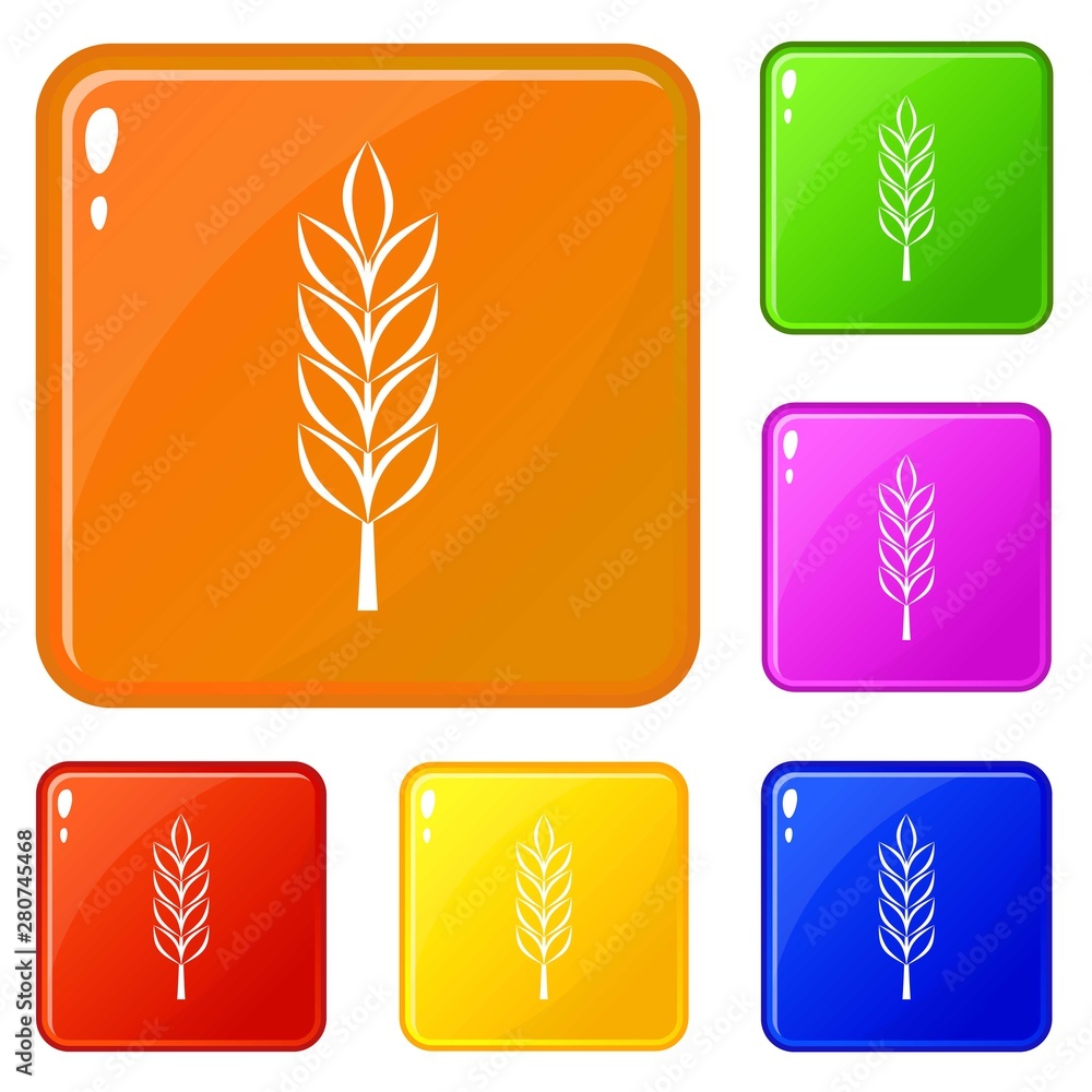 Poster wheat spike icons set collection vector 6 color isolated on white background