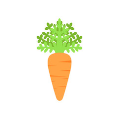 Flat colored carrot art icon