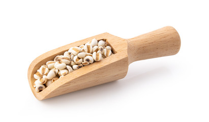  ob's tears in wood scoop  isolated on white background