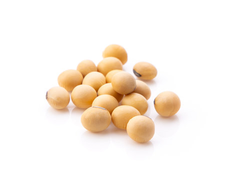 Close Up Soybean Isolated On A White Background