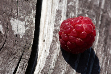 One raspberry berry lies on a wooden Board removed macro