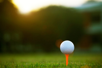 golf ball on tee in a beautiful golf course with morning sunshine