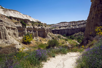 Fototapeta premium interesting rock in the town of Uchisar in Turkey
