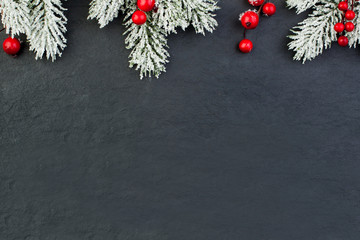Black Christmas background with snowy Xmas tree twig and red holly berries