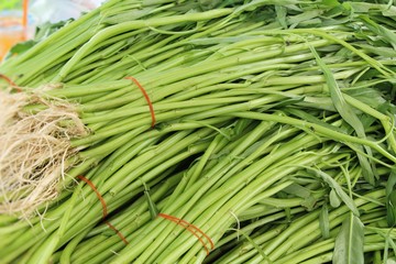 green morning glory for cooking at market