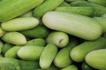 Fresh cucumbers for cooking in the market
