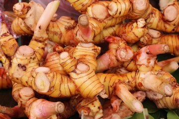 Fresh galangal for cooking in the market
