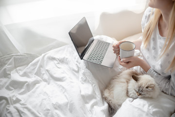 Work from home concept . Blonde Giirl typing and using laptop. Hygge with fluffy cat, pajama and coffee cup. Horizontal copyspace